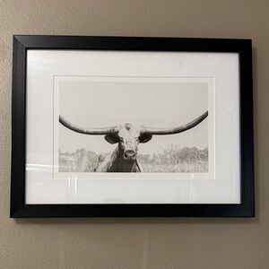 Framed Longhorn Wall Art